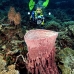 sponge_barrel_sr_v_0705_png0935.jpg